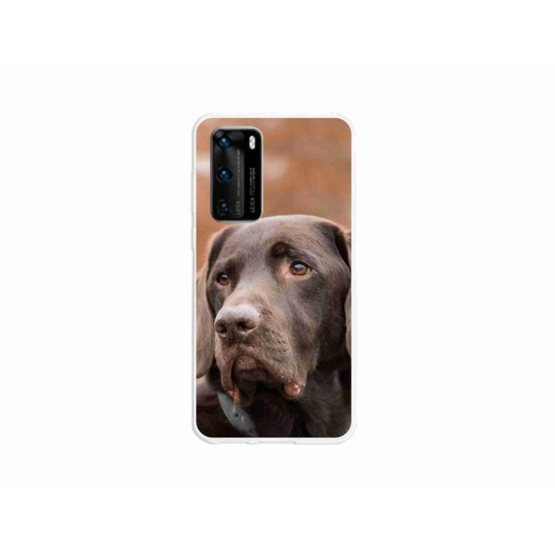 Gél tok mmCase a mobil Huawei P40 - barna labradorhoz