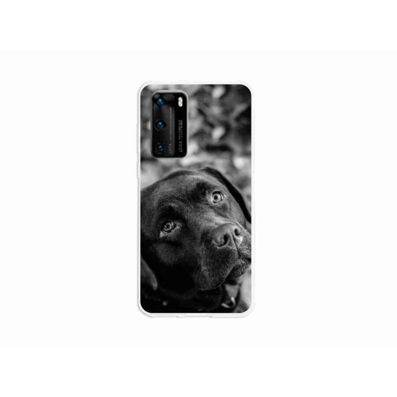 Gél tok mmCase a mobil Huawei P40 - labradorhoz