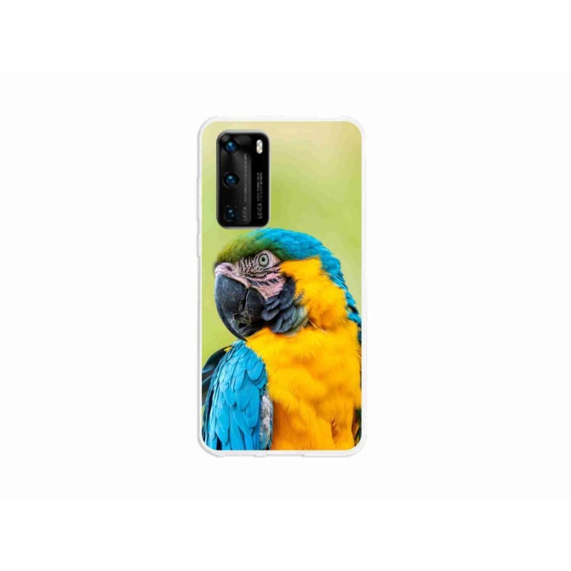 Gél tok mmCase mobil Huawei P40 - papagáj ara 2