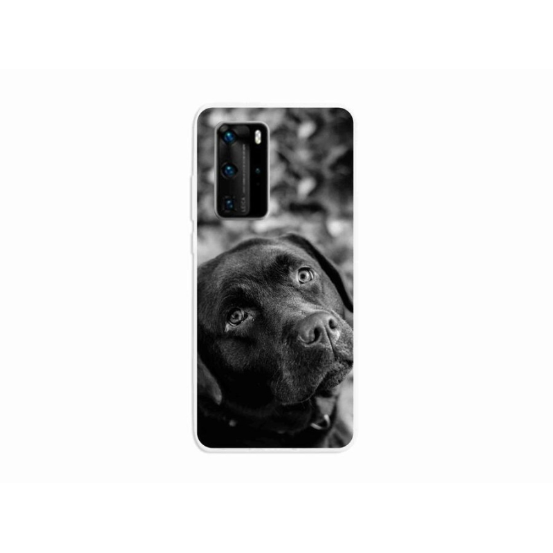 Gél tok mmCase mobil Huawei P40 Pro - labrador