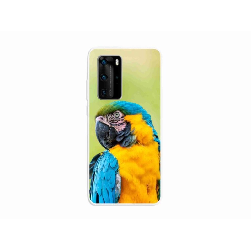 Gél tok mmCase mobil Huawei P40 Pro - papagáj ara 2