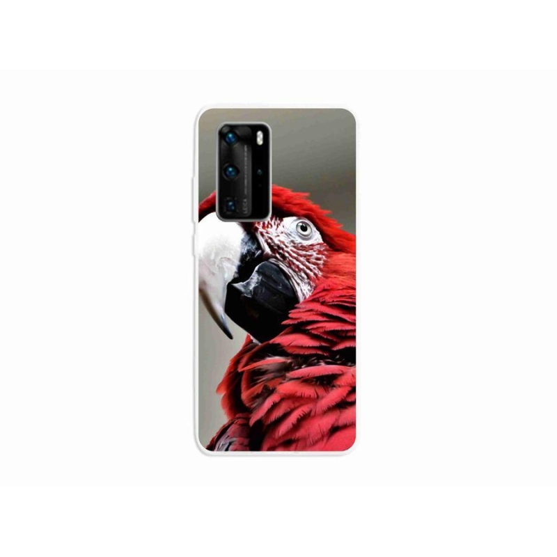 Gél tok mmCase mobil Huawei P40 Pro - papagáj ara piros