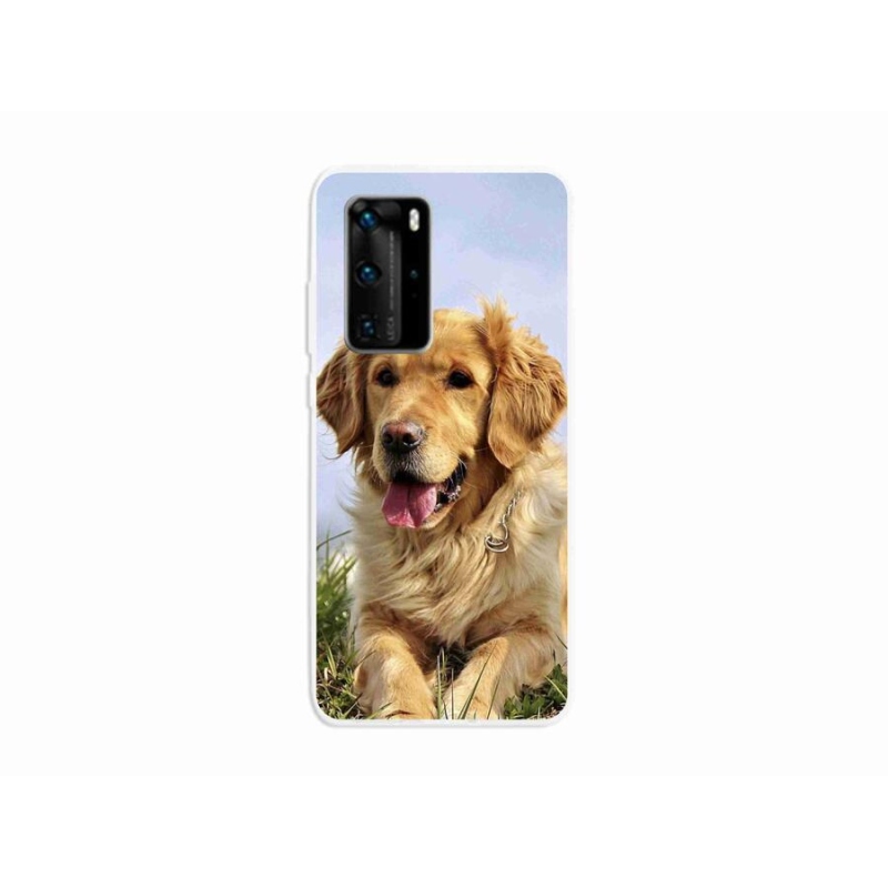 Gél tok mmCase mobil Huawei P40 Pro - arany retriever - mobilhoz