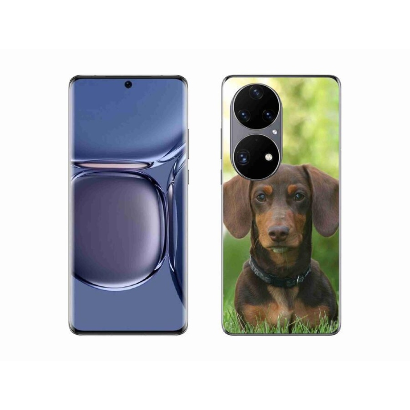 Gél tok mmCase a mobil Huawei P50 Pro - barna tacskóhoz