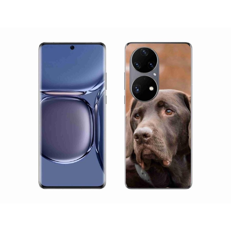 Gél tok mmCase a mobil Huawei P50 Pro készülékhez - barna labrador