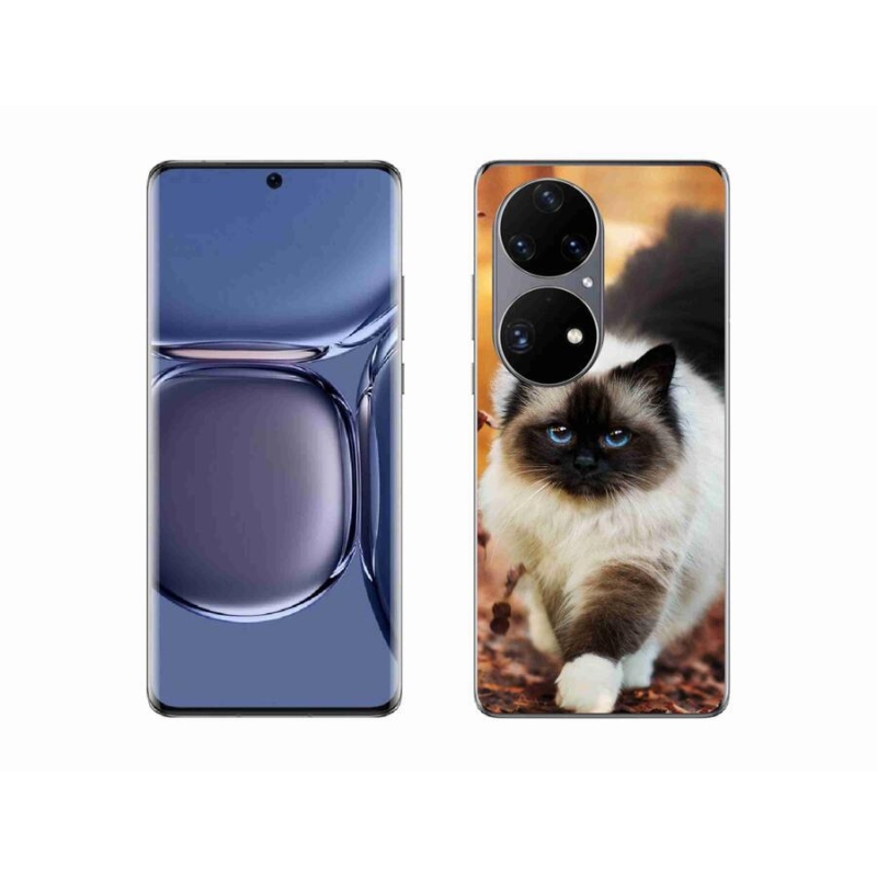 Gél tok mmCase mobil Huawei P50 Pro - macska