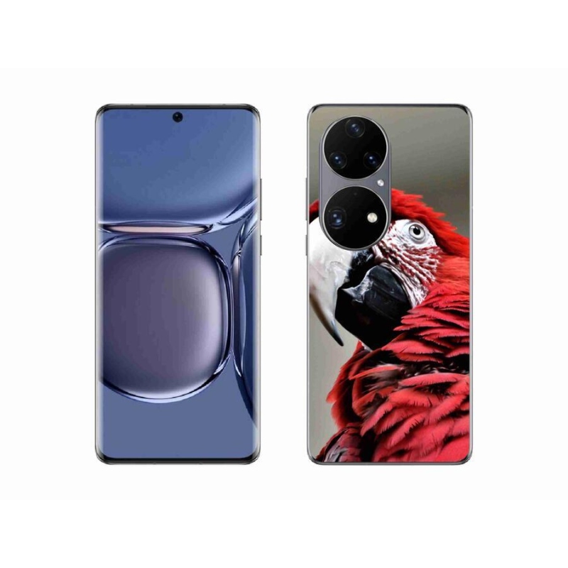 Gél tok mmCase mobil Huawei P50 Pro - papagáj ara piros