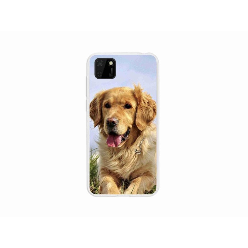 Gél tok mmCase a mobil Huawei Y5p - arany retrieverhez