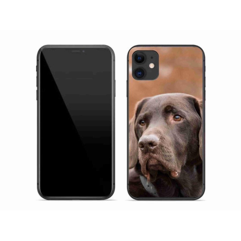 Gél tok mmCase iPhone 11 készülékhez - barna labrador