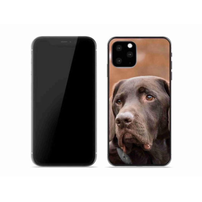 Gél tok mmCase iPhone 11 Pro készülékhez - barna labrador