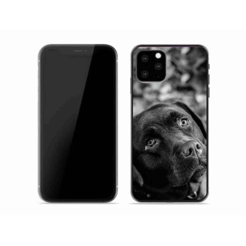 Gél tok mmCase iPhone 11 Pro készülékhez - labrador
