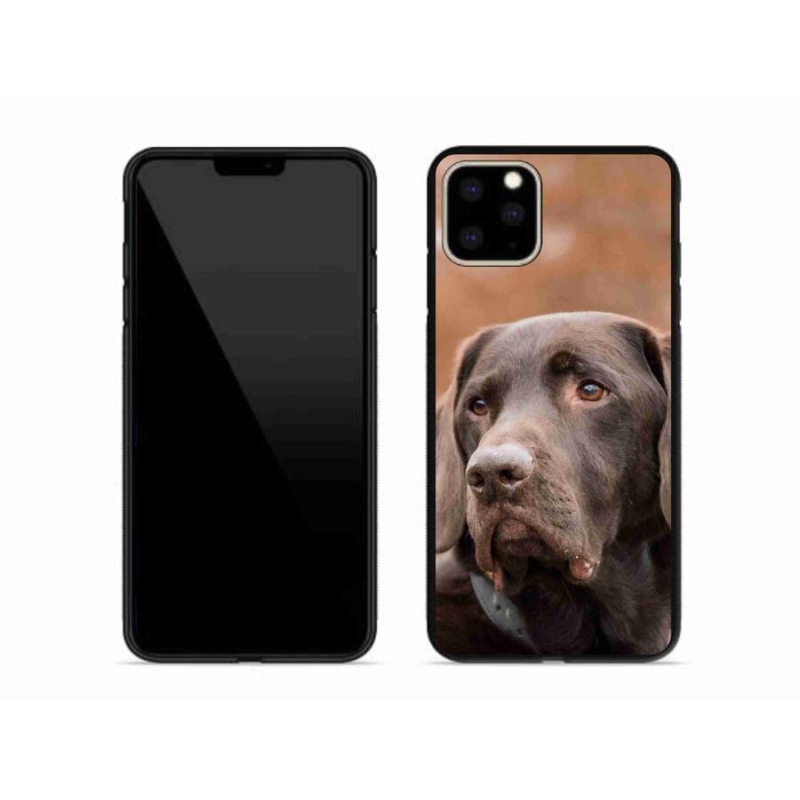 Gél tok mmCase iPhone 11 Pro Max készülékre - barna labrador