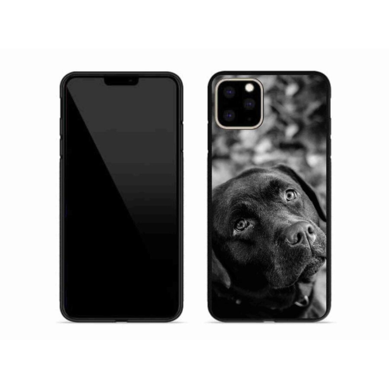 Gél tok mmCase iPhone 11 Pro Max készülékhez - labrador