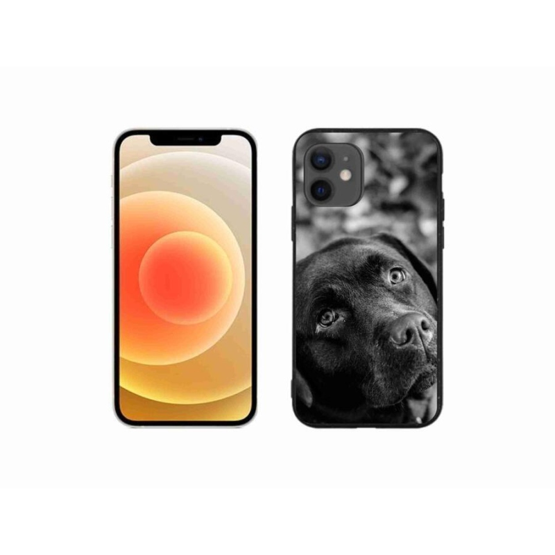 Gél tok mmCase iPhone 12 mini készülékre - labrador