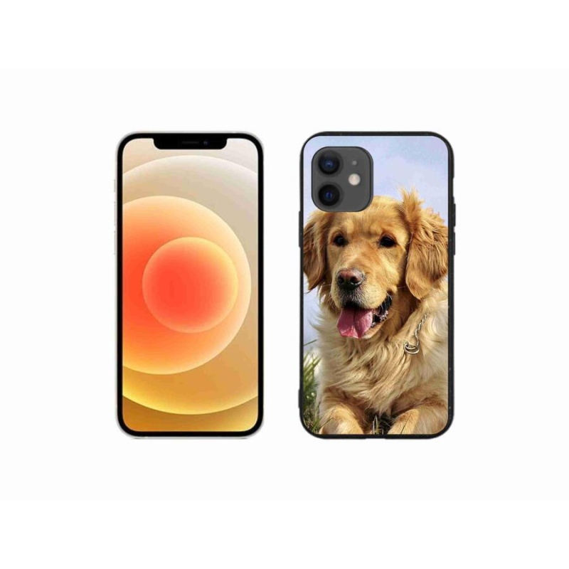 Gél tok mmCase iPhone 12 mini készülékhez - arany retriever
