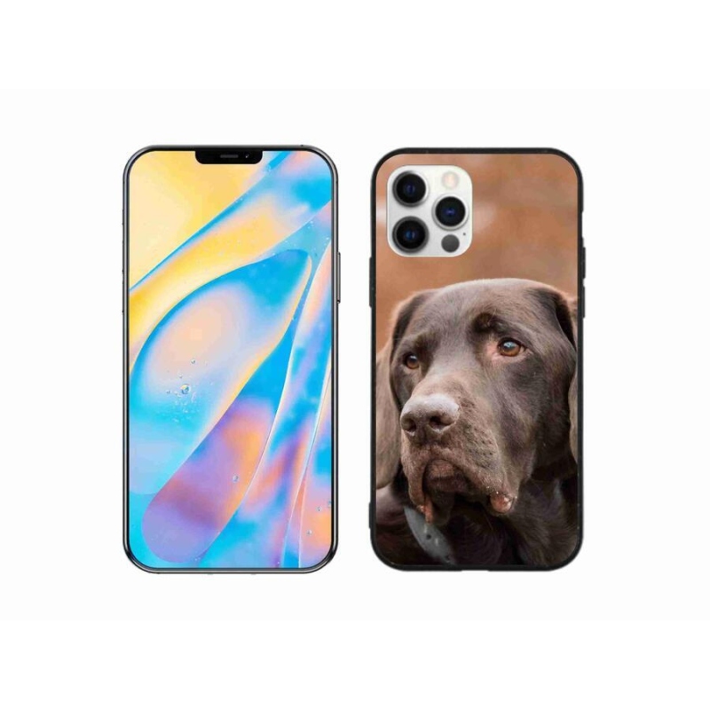 Gél tok mmCase iPhone 12 Pro készülékhez - barna labrador