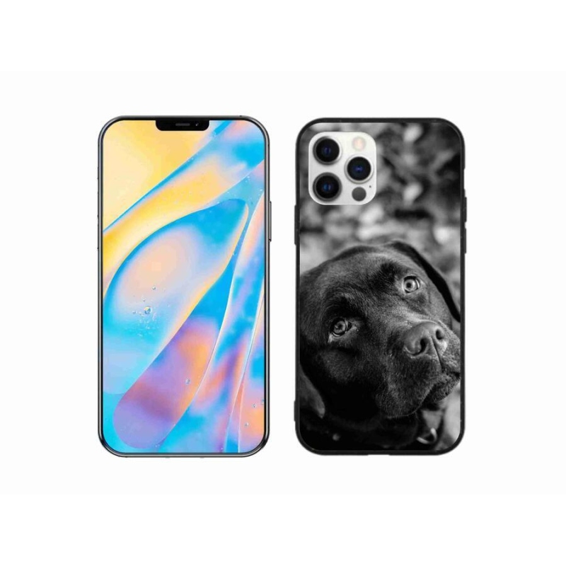 Gél tok mmCase iPhone 12 Pro készülékhez - labrador