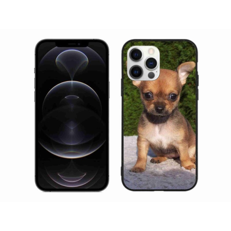 Gél tok mmCase iPhone 12 Pro Max készülékhez - chihuahua 3