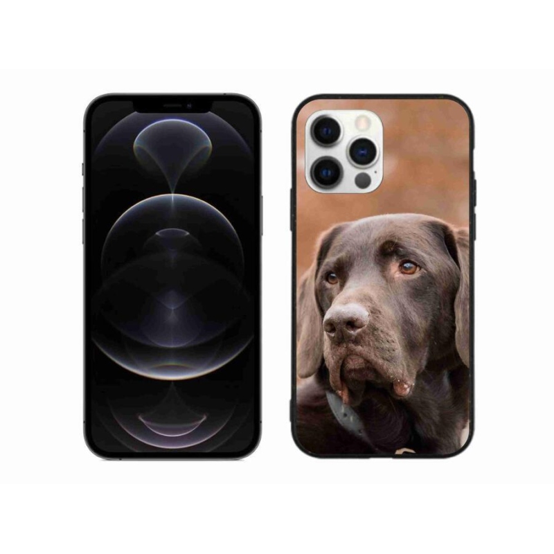 Gél tok mmCase iPhone 12 Pro Max készülékhez - barna labrador