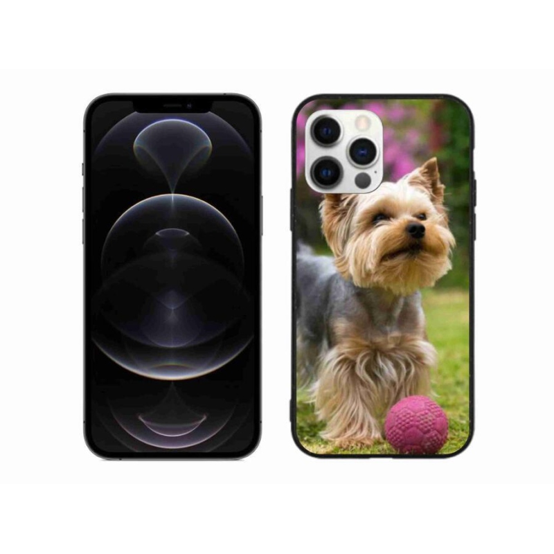 Gél tok mmCase iPhone 12 Pro Max készülékhez - Yorkshire 4