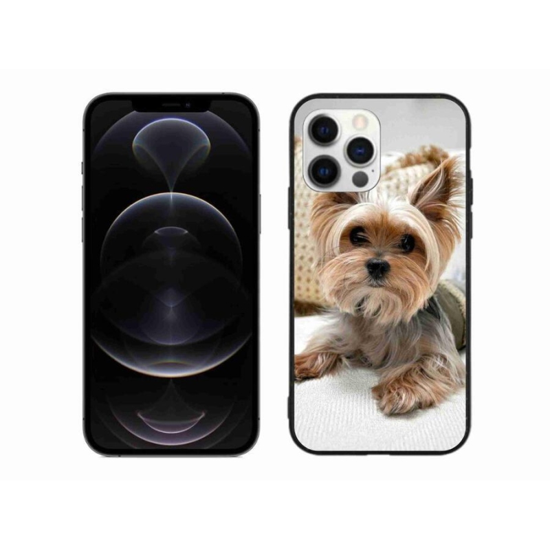 Gél tok mmCase iPhone 12 Pro Max készülékhez - Yorkshire 5