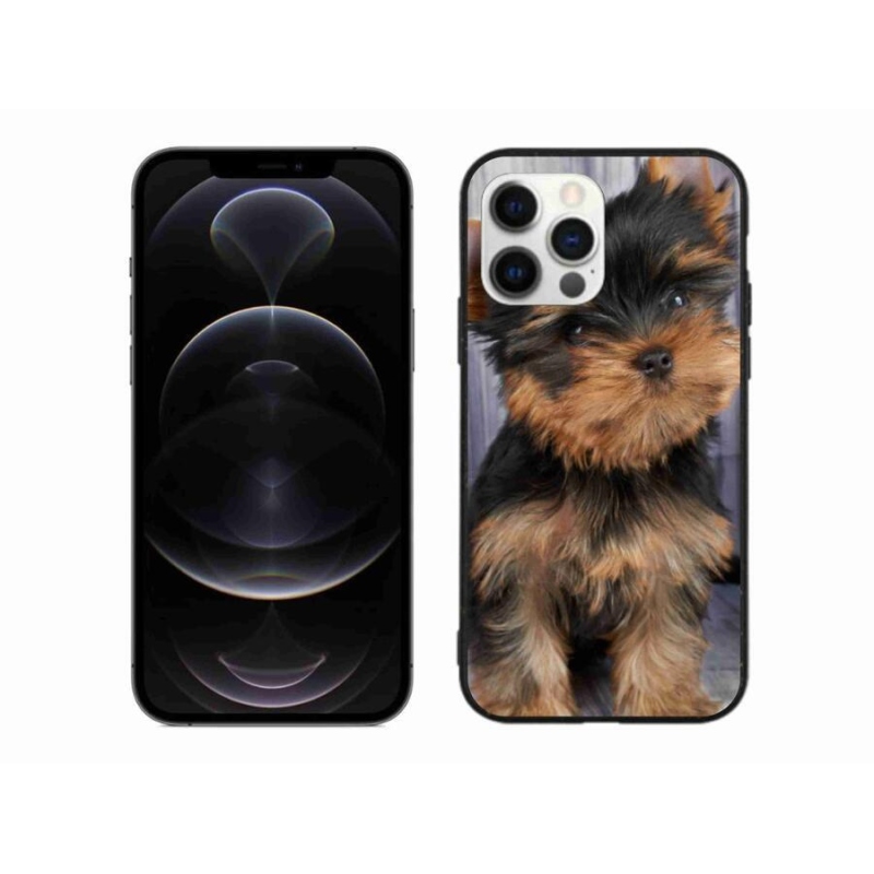 Gél tok mmCase iPhone 12 Pro Max készülékhez - Yorkshire 9