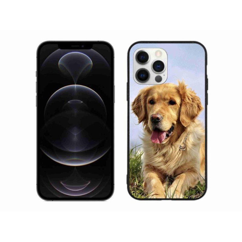 Gél tok mmCase iPhone 12 Pro Max készülékhez - arany retriever