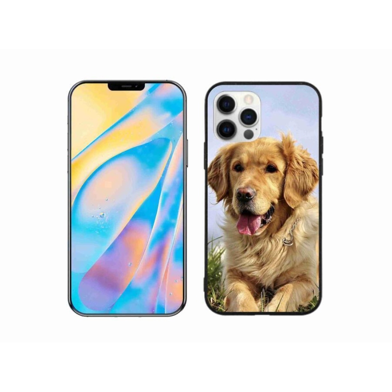 Gél tok mmCase iPhone 12 készülékhez - arany retriever