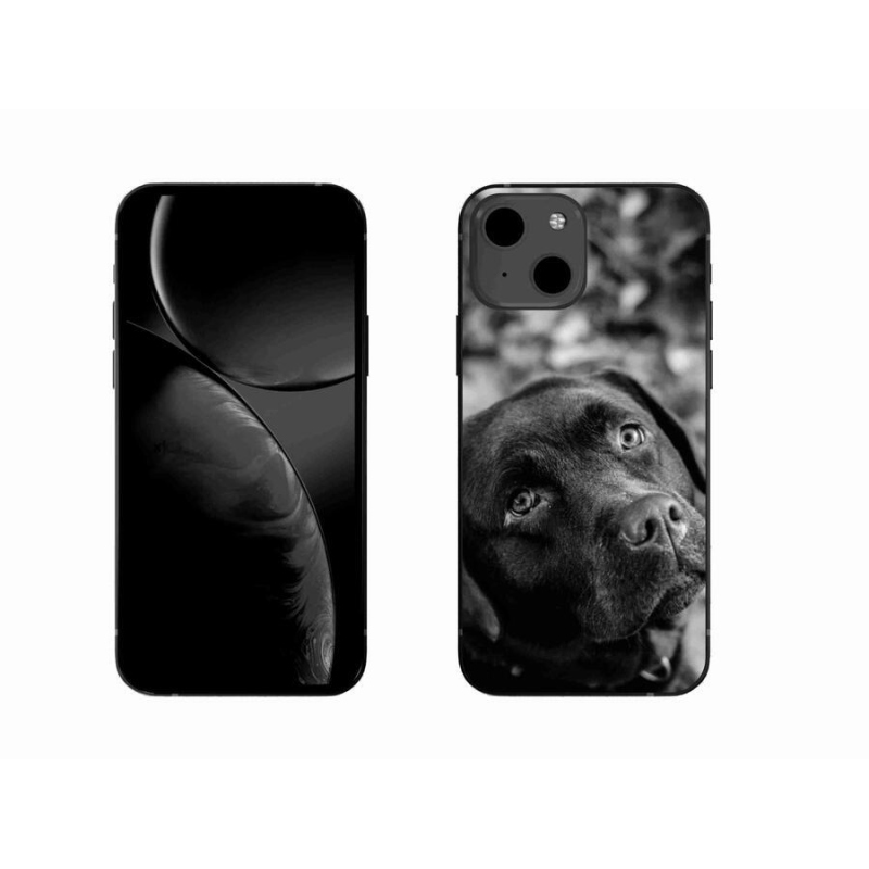Gél tok mmCase iPhone 13 6.1 készülékhez - labrador