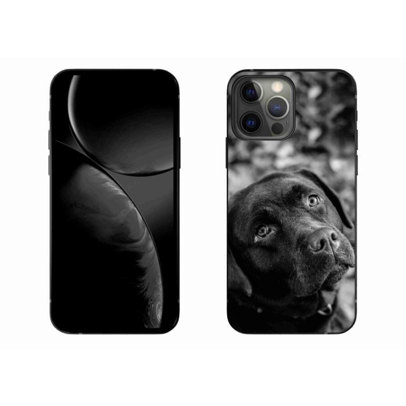 Gél tok mmCase iPhone 13 Pro Max 6.7 készülékhez - labrador