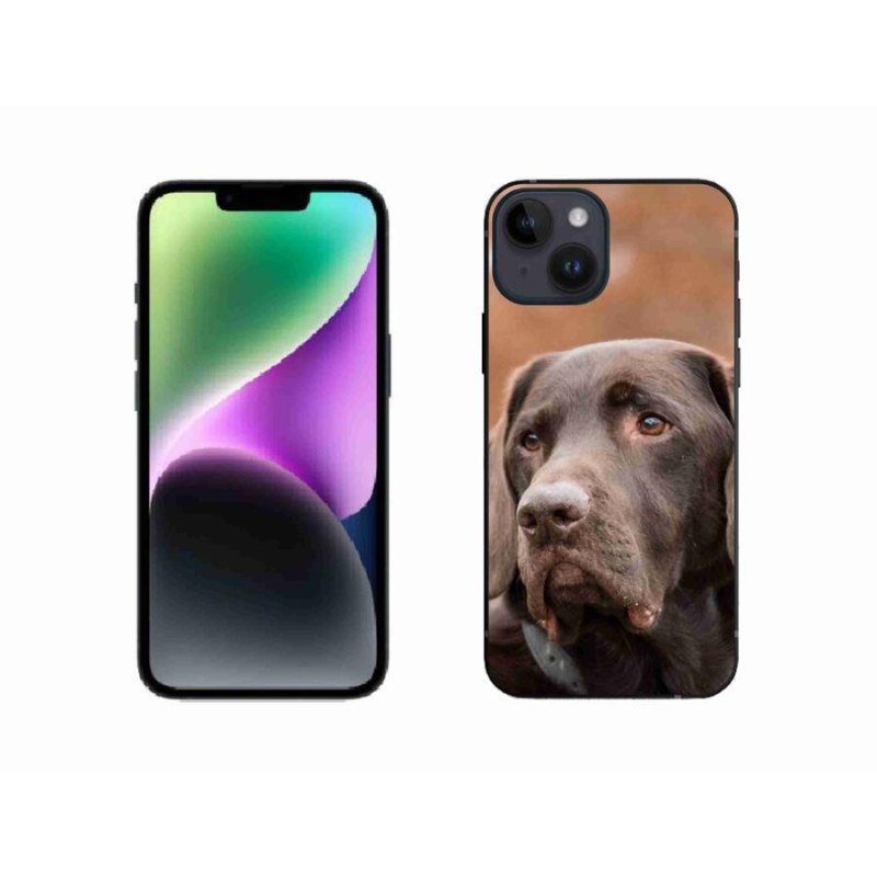 Gél tok mmCase iPhone 14 készülékhez - barna labrador