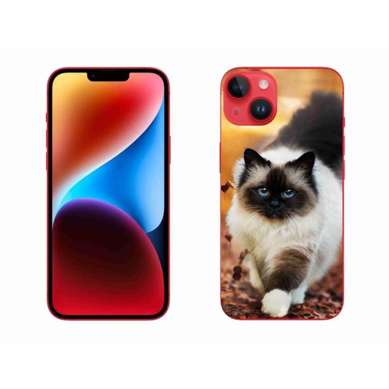 Gél tok mmCase iPhone 14 Plus készülékhez - macska