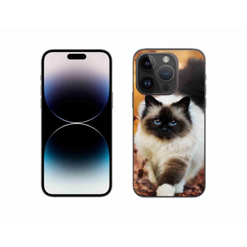 Gél tok mmCase iPhone 14 Pro 6.1 készülékhez - macska