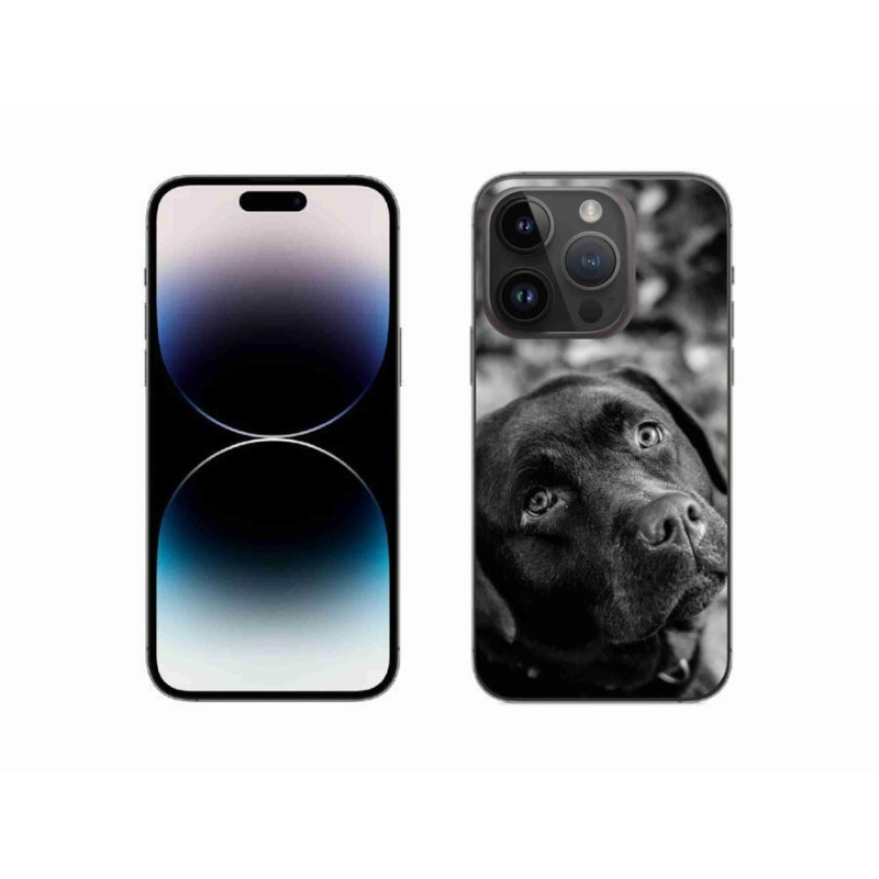 Gél tok mmCase iPhone 14 Pro 6.1 készülékhez - labrador színű