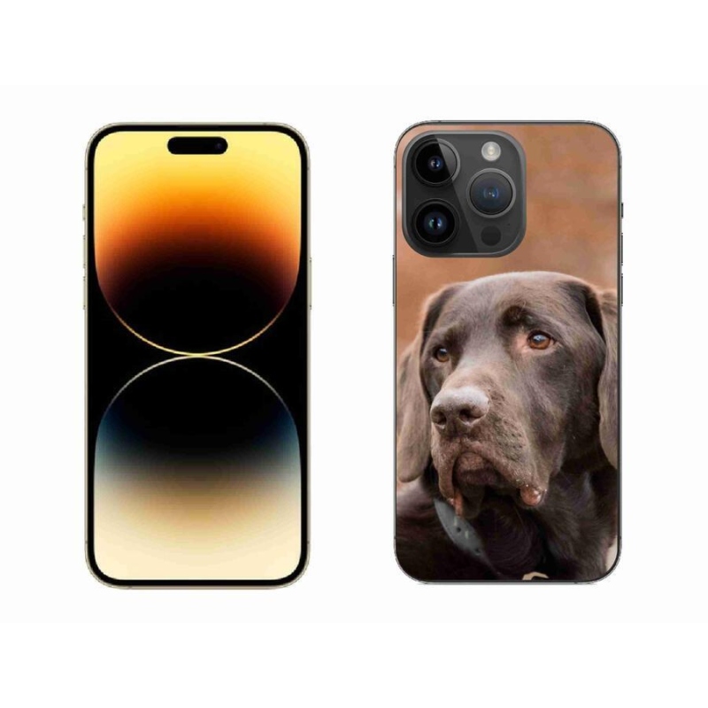 Gél tok mmCase iPhone 14 Pro Max 6.7 készülékhez - barna labrador