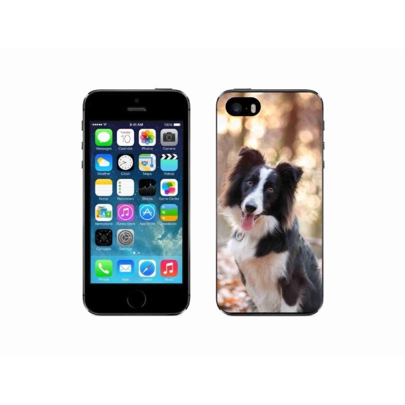 Gél tok mmCase iPhone 5/5s készülékhez - border colie 1