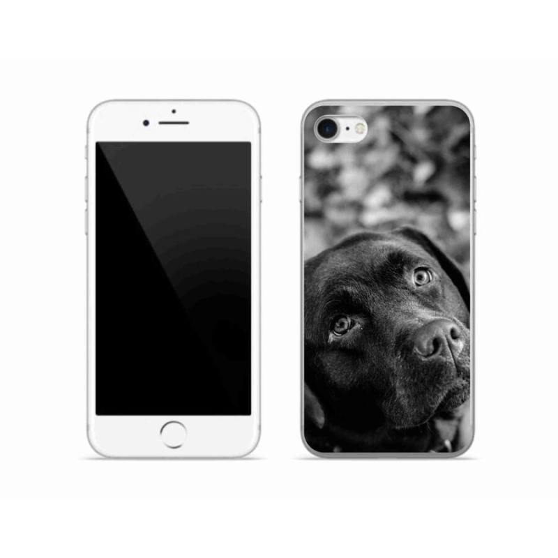 Gél tok mmCase iPhone 8 készülékhez - labrador