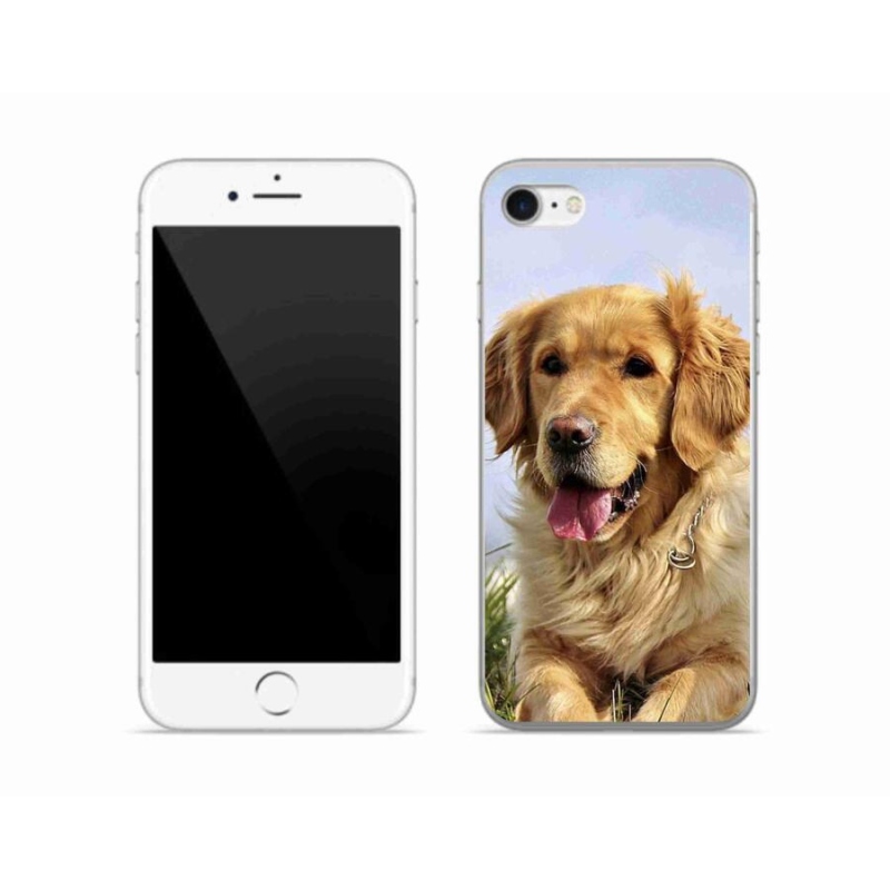 Gél tok mmCase iPhone 8 készülékhez - arany retriever