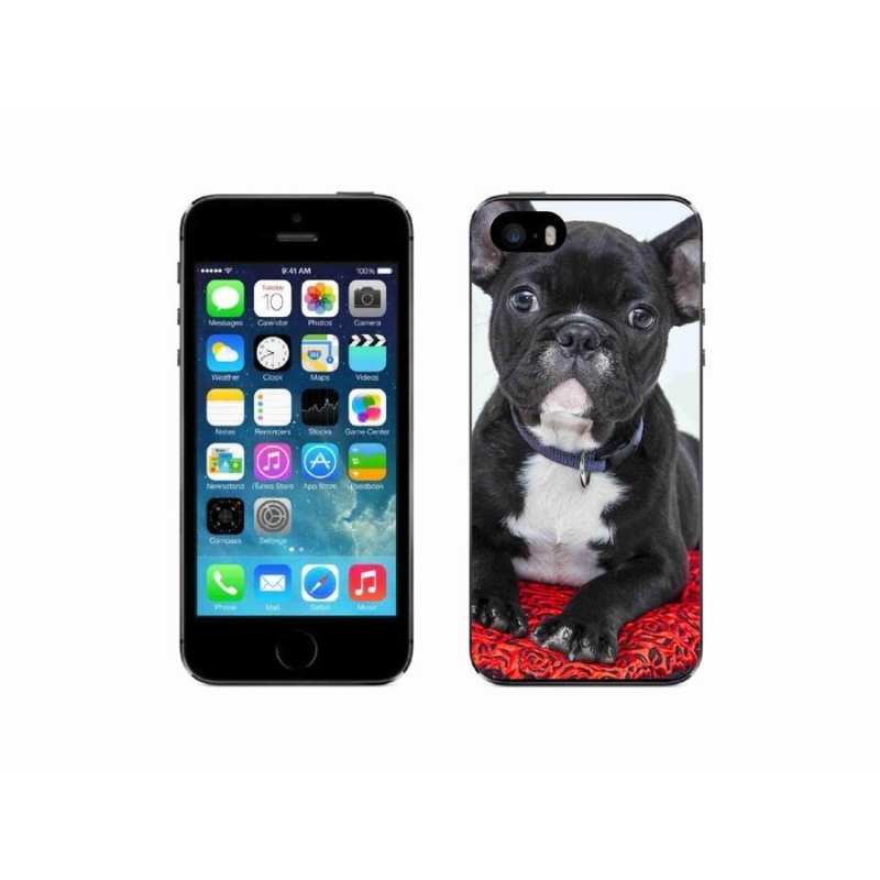 Gél tok mmCase iPhone SE (2016) készülékhez - bulldog