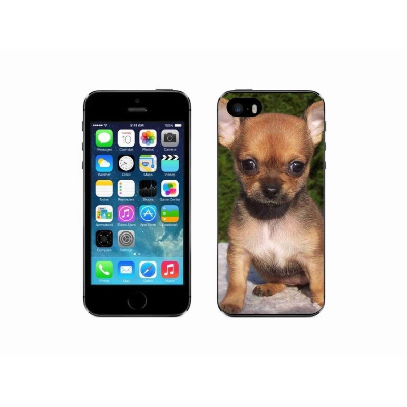 Gél tok mmCase iPhone SE (2016) készülékhez - chihuahua 3