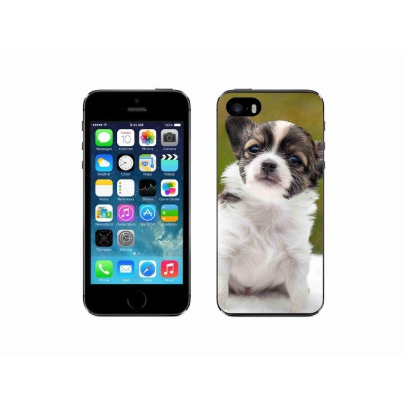 Gél tok mmCase iPhone SE (2016) készülékhez - chihuahua 4