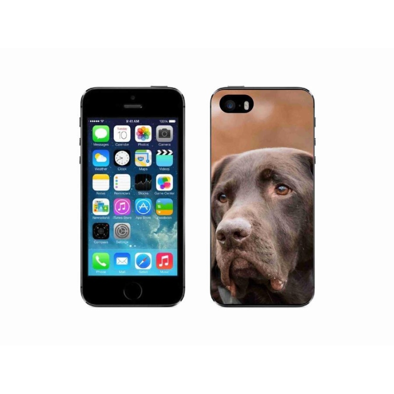 Gél tok mmCase iPhone SE (2016) készülékhez - barna labrador