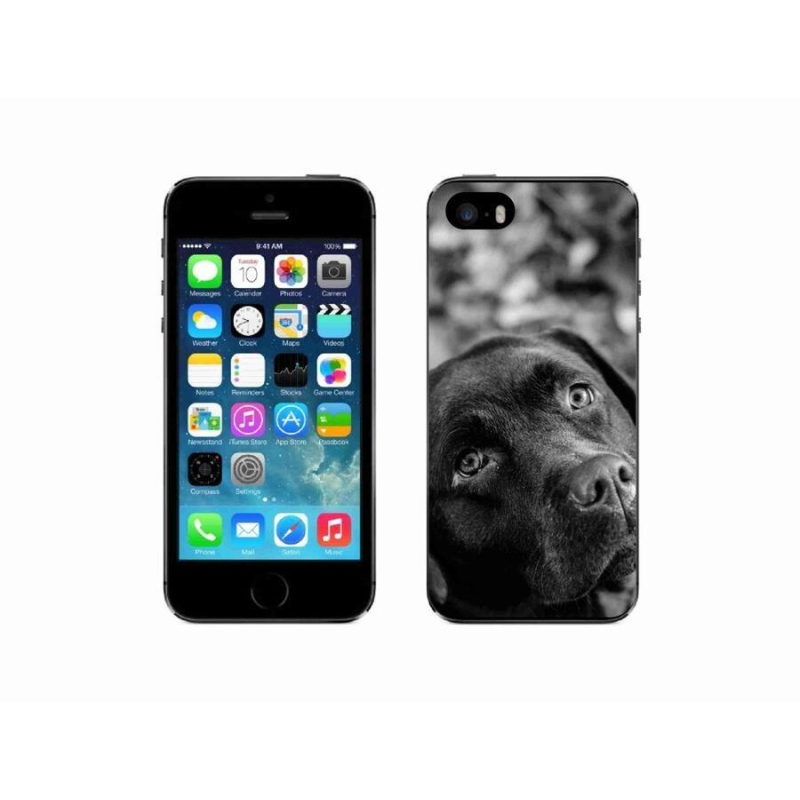 Gél tok mmCase iPhone SE (2016) készülékhez - labrador színű