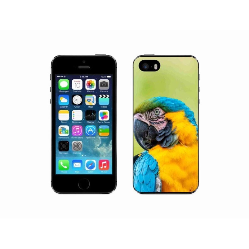Gél tok mmCase iPhone SE (2016) készülékhez - papagáj ara 2