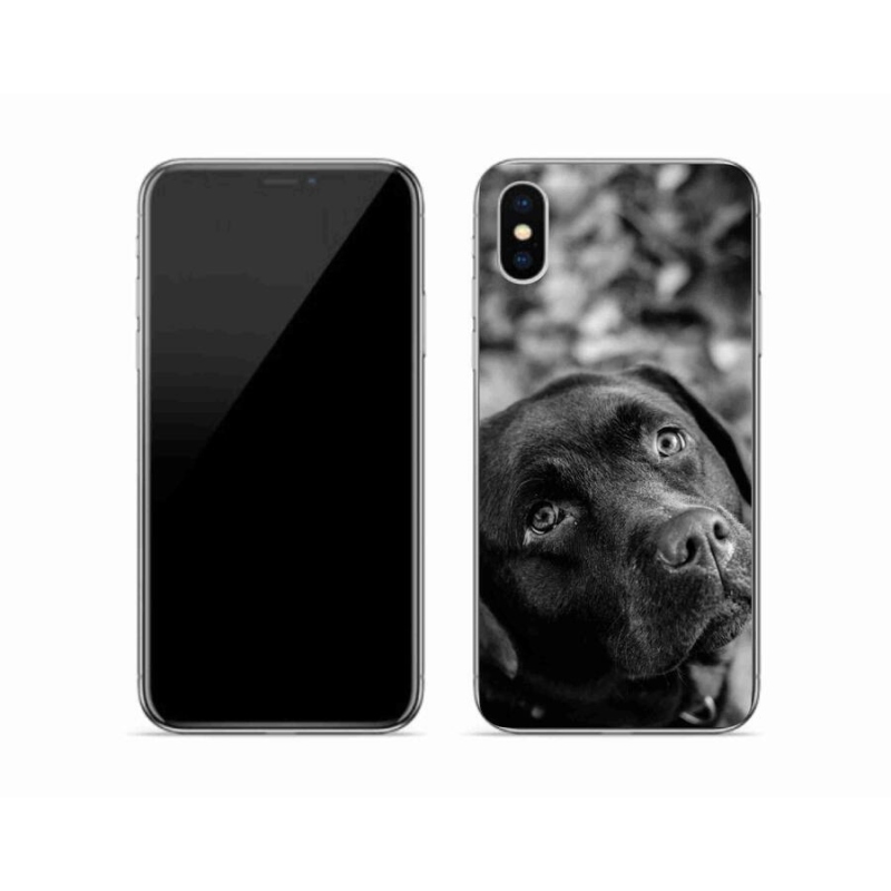 Gél tok mmCase iPhone X készülékhez - labrador