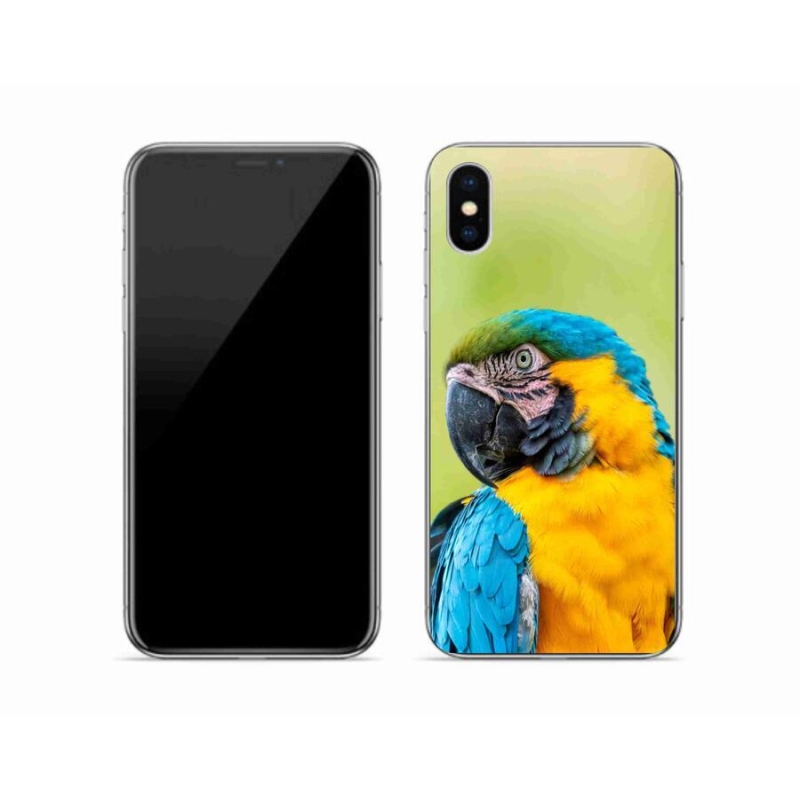 Gél tok mmCase iPhone X készülékhez - papagáj ara 2