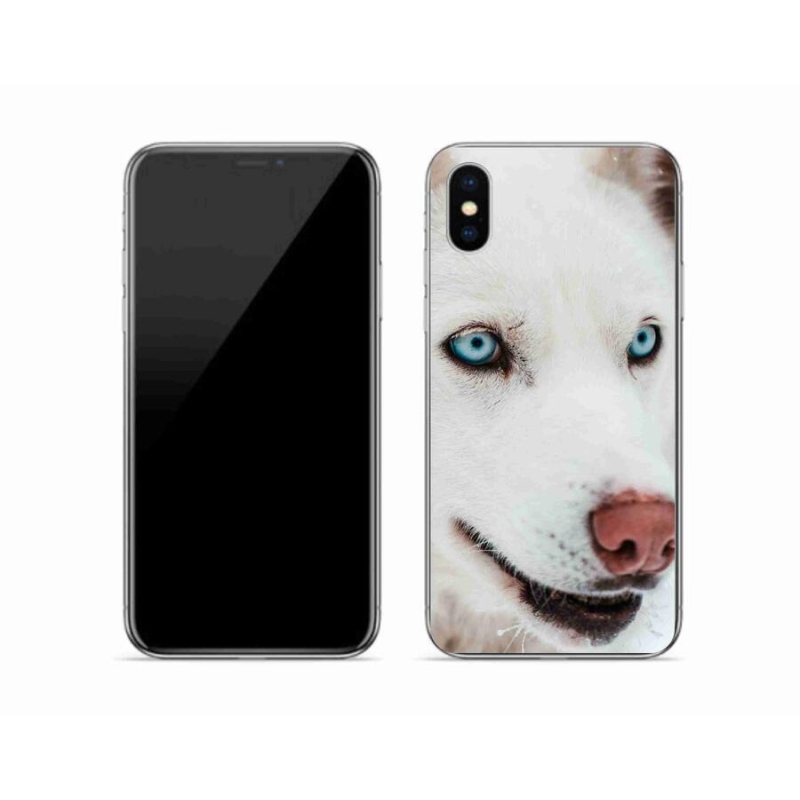 Gél tok mmCase iPhone X készülékhez - kutyaszemmel nézve