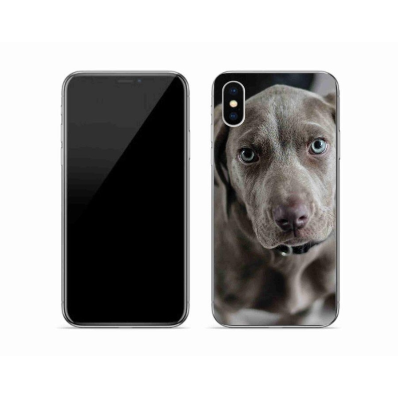 Gél tok mmCase iPhone X készülékhez - výmarský ohař
