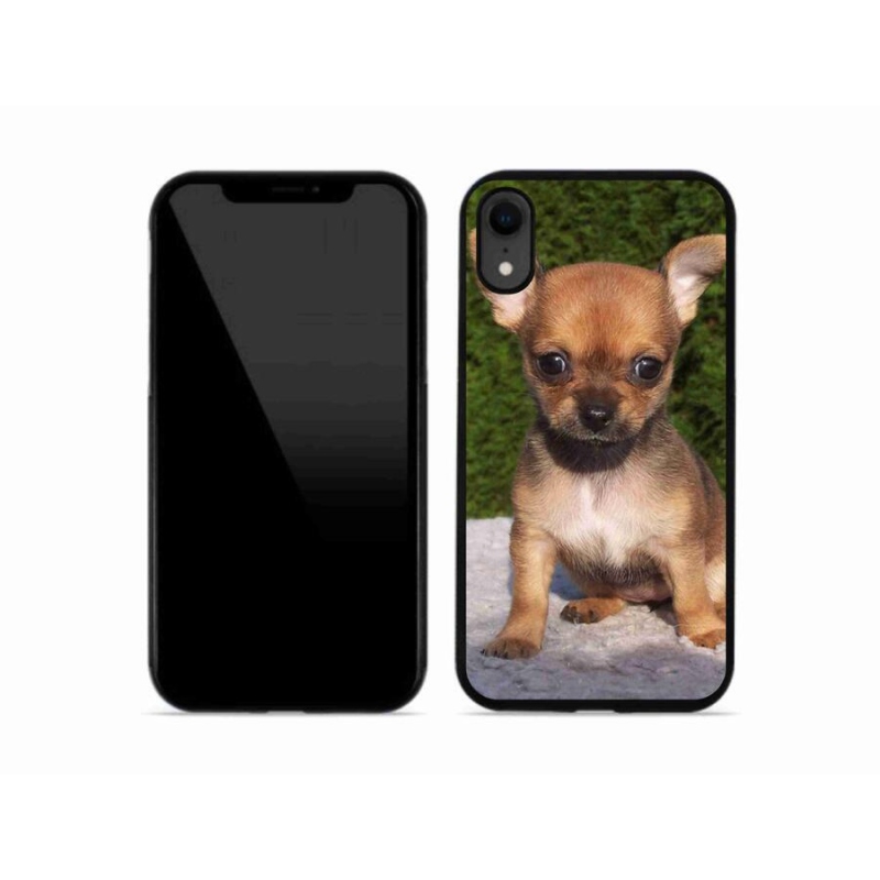 Gél tok mmCase iPhone XR készülékhez - chihuahua 3
