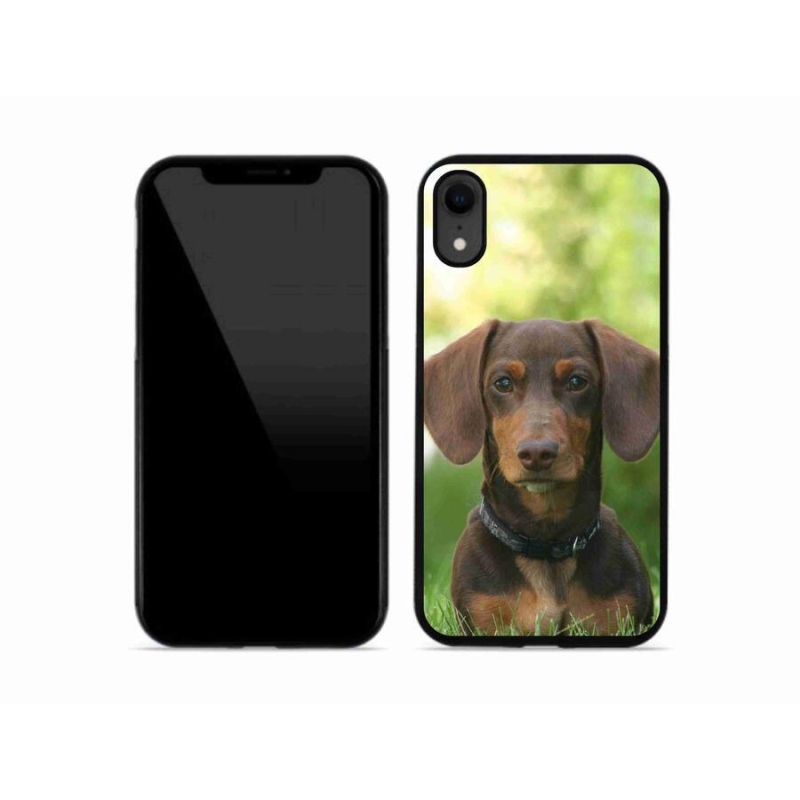 Gél tok mmCase iPhone XR készülékhez - barna tacskó